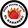 Deep Ellum Tacos El Habanero