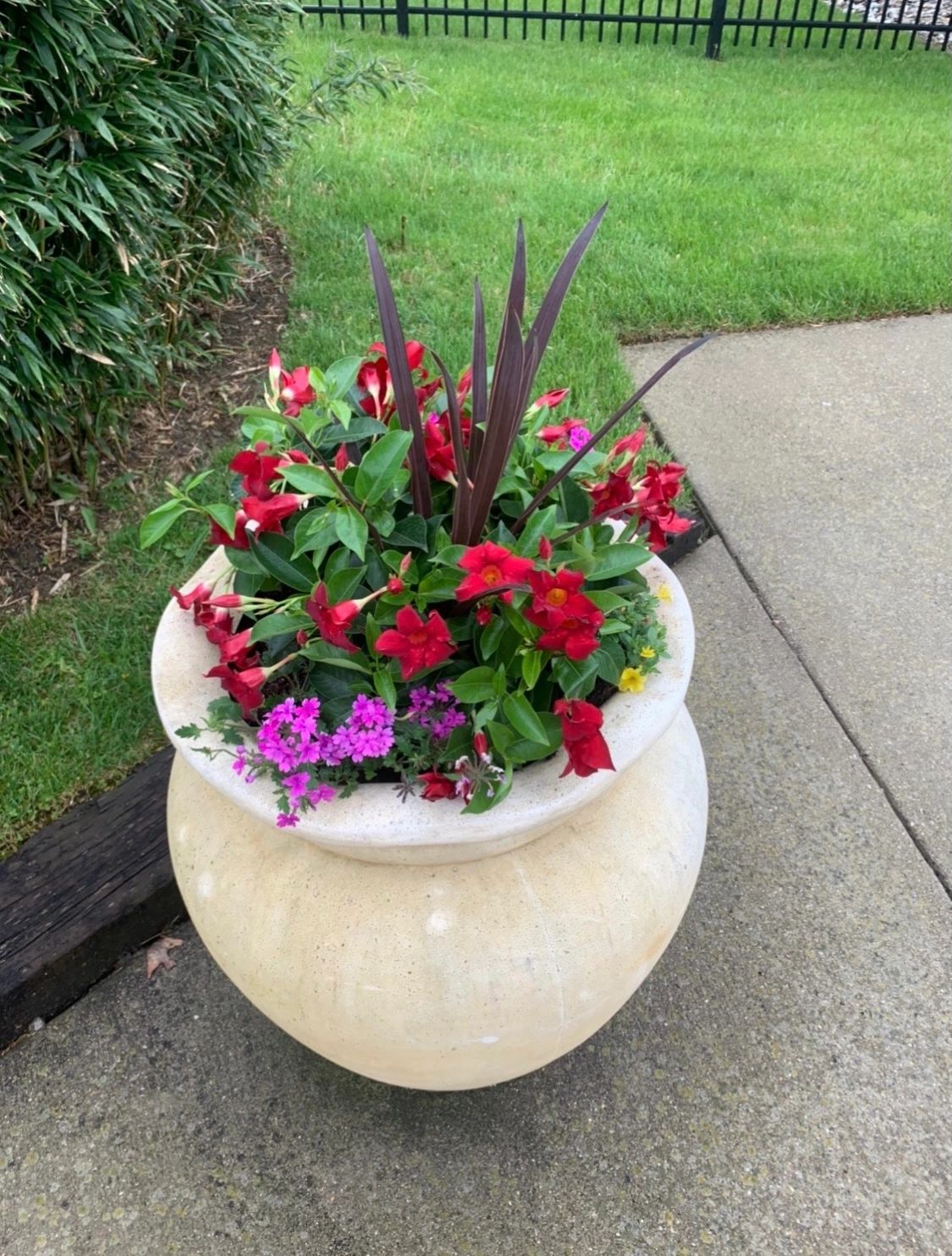 image10