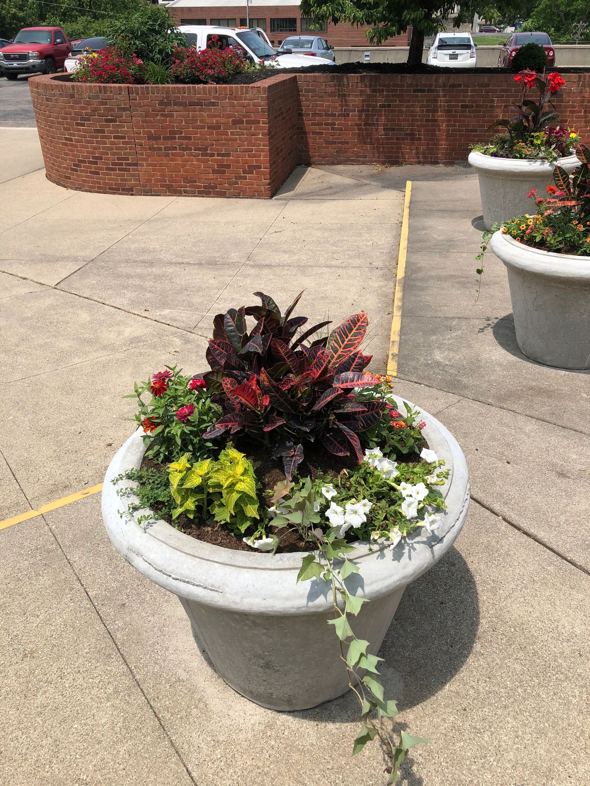 image7