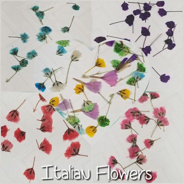 Real Tiny Italian Dried flowers (20 mixed color flowers)