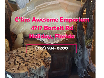 CSins Awesome Emporium, CBD in Holiday, Swamp Yeti CBD Products, 