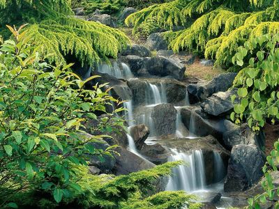 British Columbia waterfall