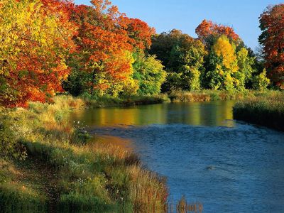 Ontario forest and lakes