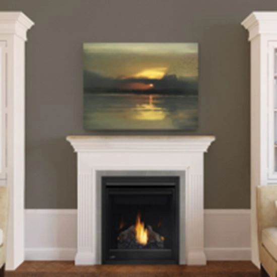 Continental Fireplaces Electronic Ignition Natural Gas Fireplace w/Screen