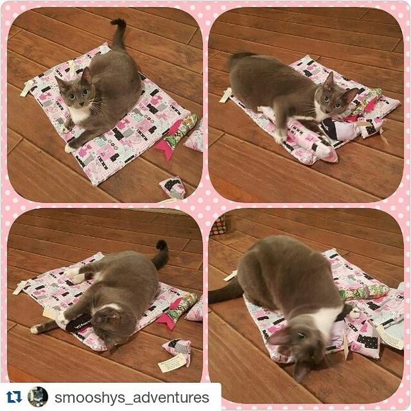 Organic Catnip Mat CUSTOM Large BeWitched Cat Toys, POTENT Organic