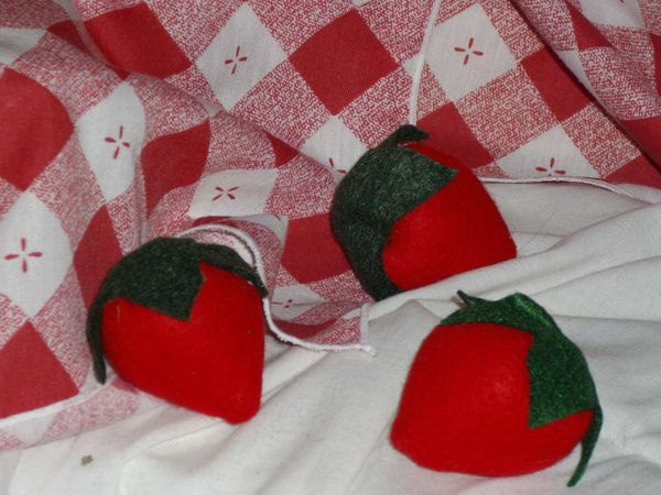Organic Catnip Strawberry