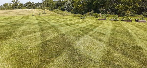 Beautiful lawn mowing!