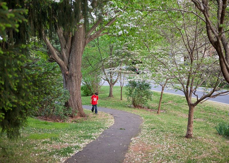 Tree Assessment Worksheet