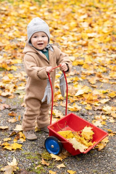 Disana Toddler/Child Hooded Jacket, Organic Merino Boiled Wool