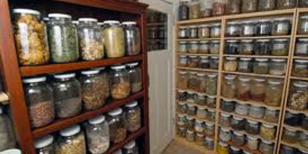 Deposit of jars containing a wide variety of Chinese Medicine Herbs - Chinese Medicine Bristol