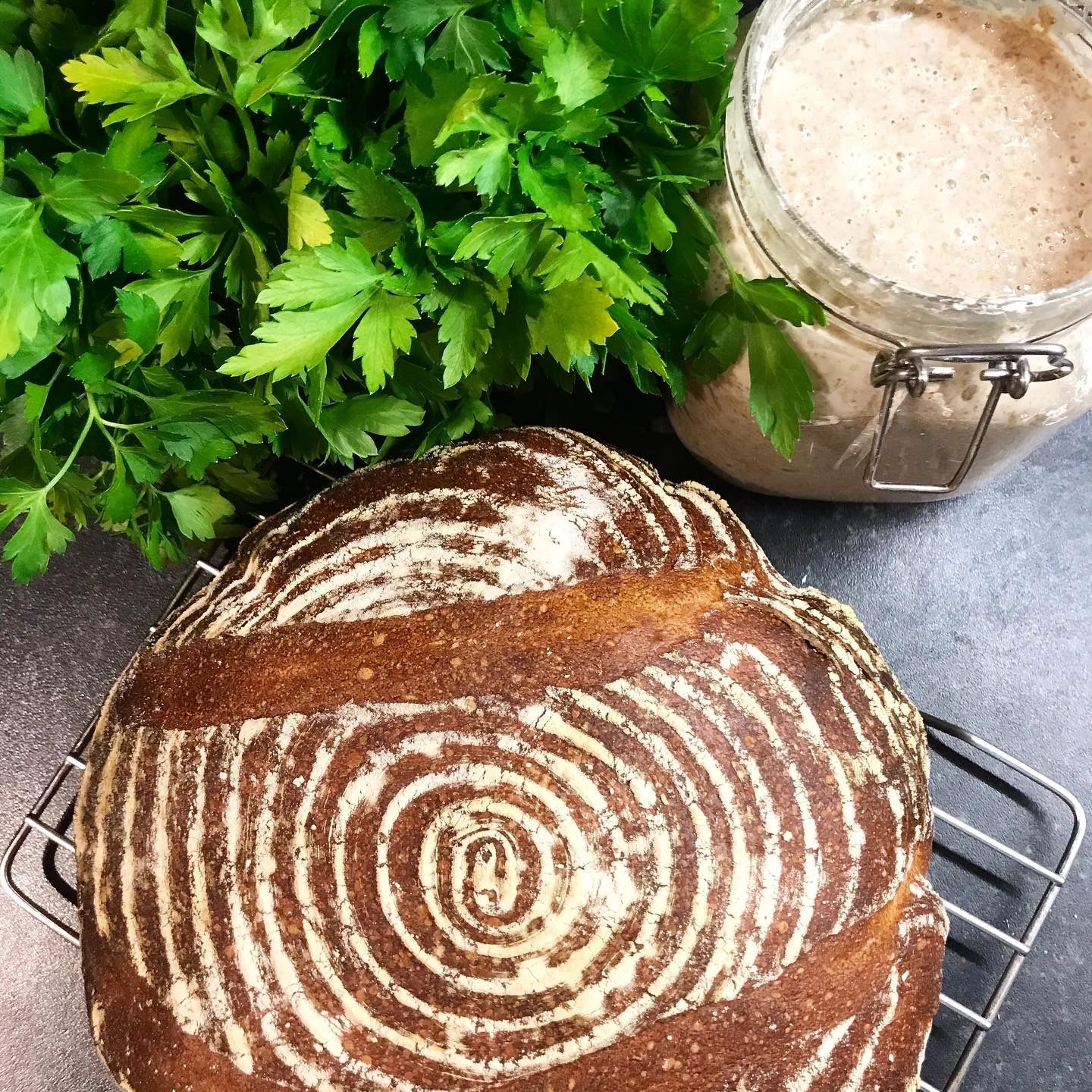 Main types of Sourdough Starter