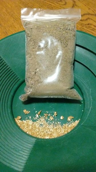 MONTANA GOLD NUGGET PAY DIRT 1 GRAM OF GOLD GUARANTEED