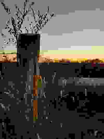 A limestone fence post with barbed wire at sunset.