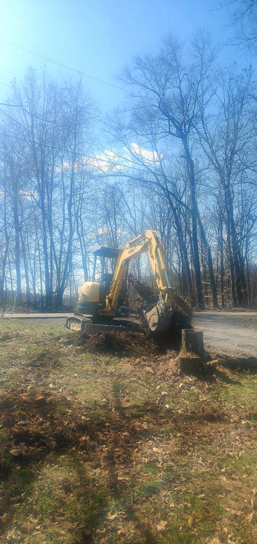 removing stump 