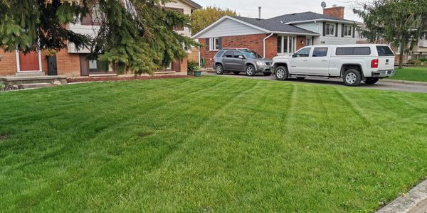 Lawn Care, Landscaping, Wallaceburg, Sarnia, Chatham, Fertilizer, Weed Control, Grass Cutting