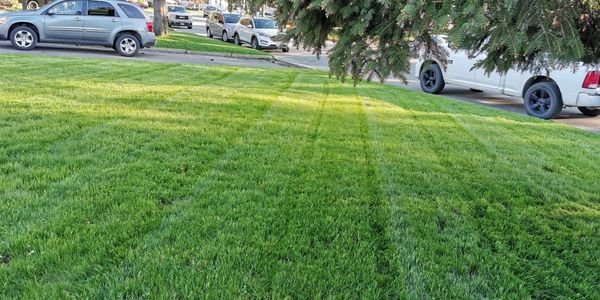 Grass Cutting, Lawn Maintenance, Fertilizer, Weed Control, Wallaceburg, Sarnia, Chatham