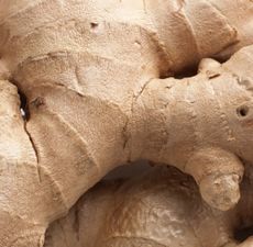 Ginger Root Essential Oil