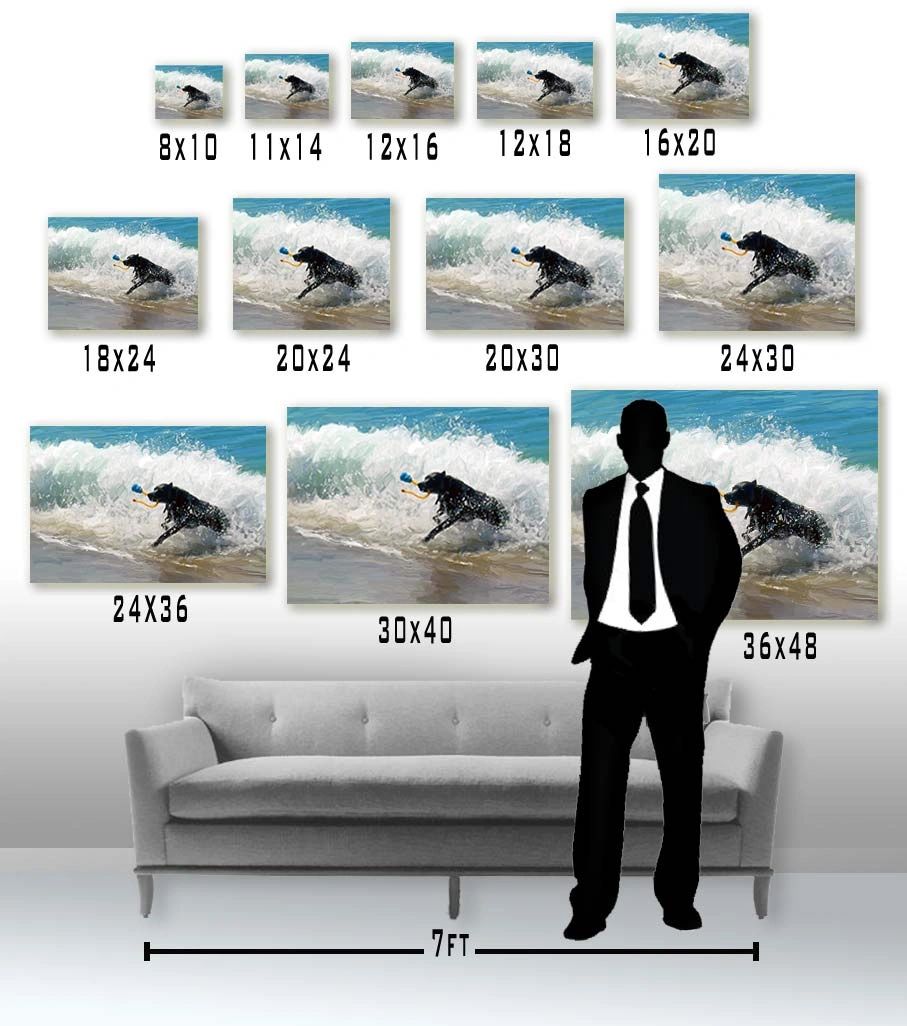 Artist Till Death Canvas Size Comparison Chart