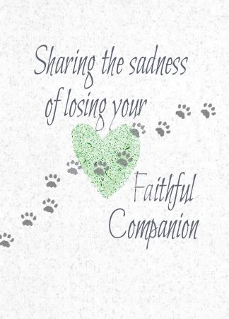 NP637 SHARING THE LOSS OF LOSING YOUR FAITHFUL COMPANION