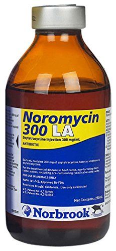 Norbrook Noromycin-300 LA