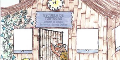 The Turtles Go to School. Spanish Edition.