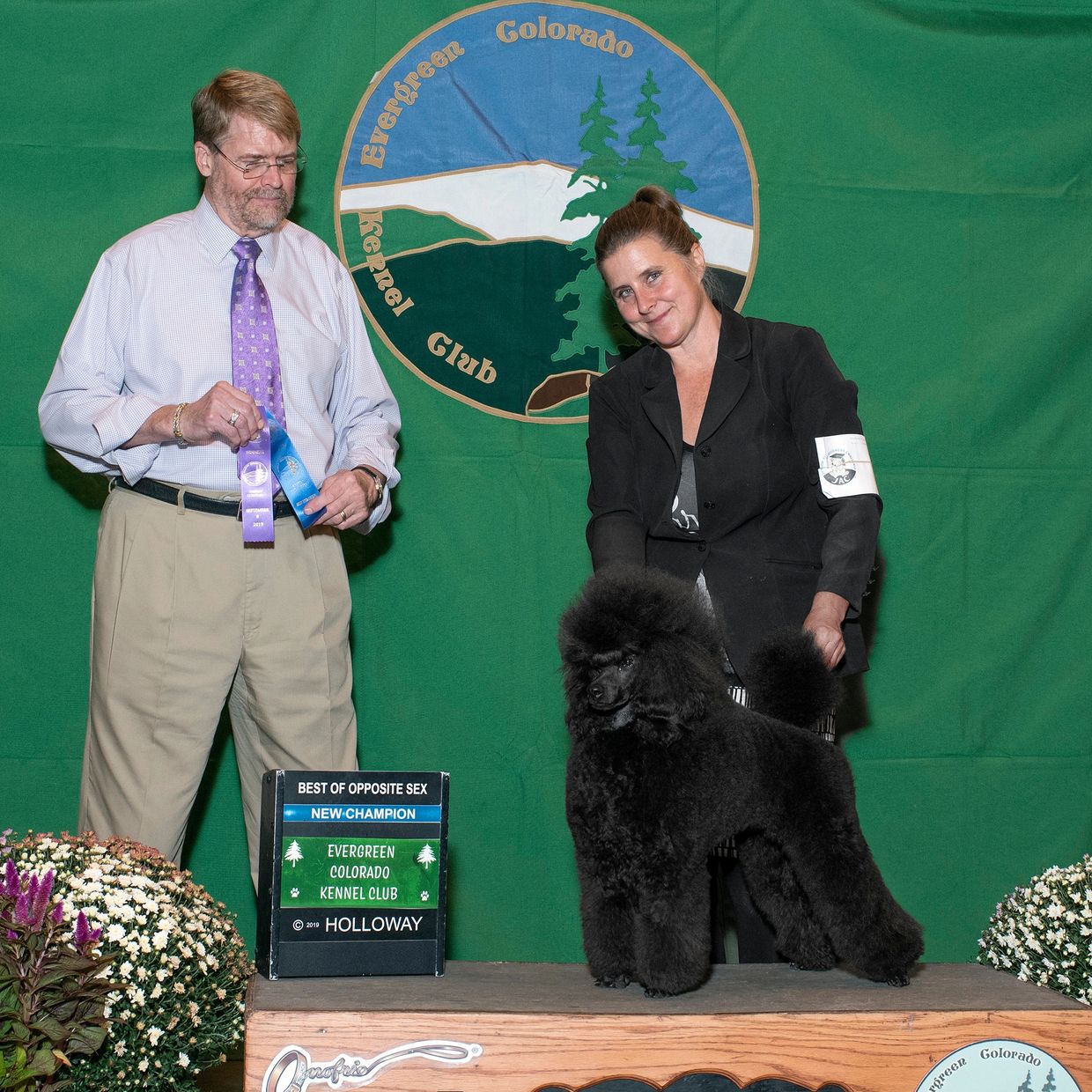 Prince finishing his Championship, at 9 months, under Poodle breeder/Judge, Randy Garren - 9/19