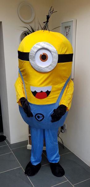 Kids party cartoon character mascot hire Minions UK DELIVERY  Mascots  Costumes For Hire Children's Cartoon Characters Animals