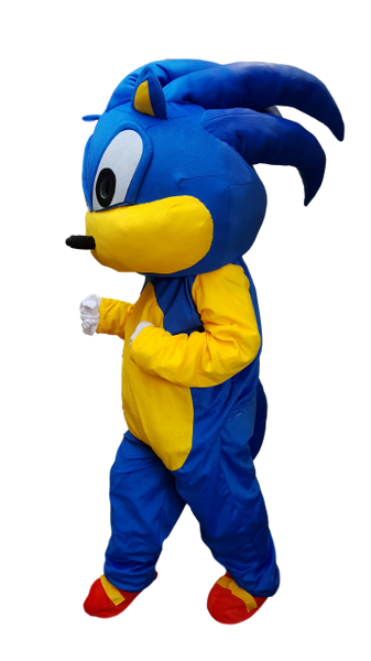 Childrens Sonic the Hedgehog Mascot Costume  Sonic the hedgehog costume,  Sonic the hedgehog, Mascot costumes