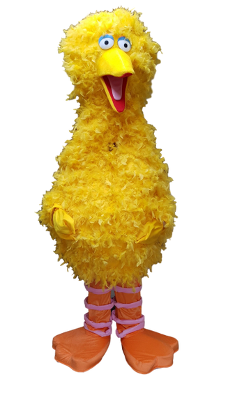 Sesame Street® Big Bird Costume