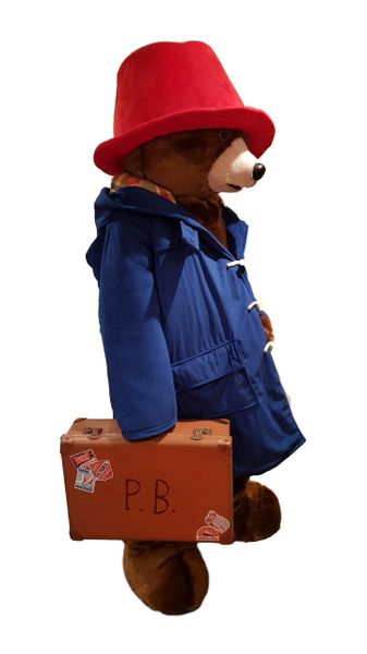 Bear Mascot costume for HIRE 24hr HIRE UK Delivery available