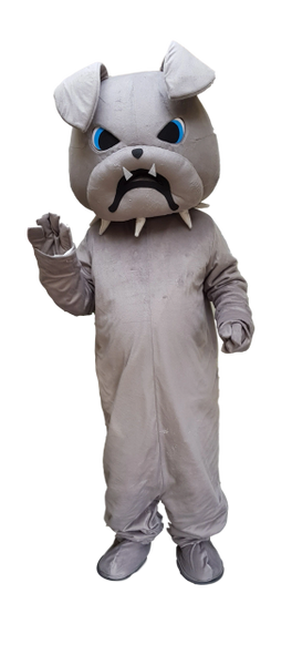 Spike Bulldog Mascot costume to HIRE