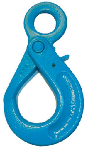 Hook, Pewag Chain Lifting Hooks