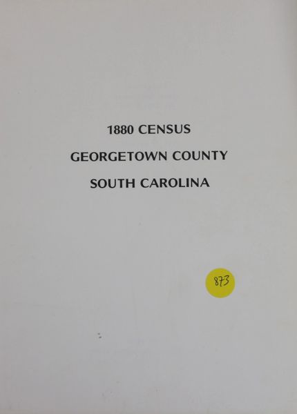 1880 Census of Georgetown County, South Carolina