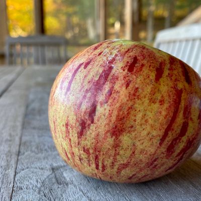 A healthy organic apple on wood table