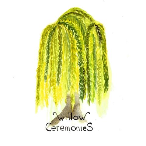 bespoke logo for willow ceremonies - welsh artist - watercolour