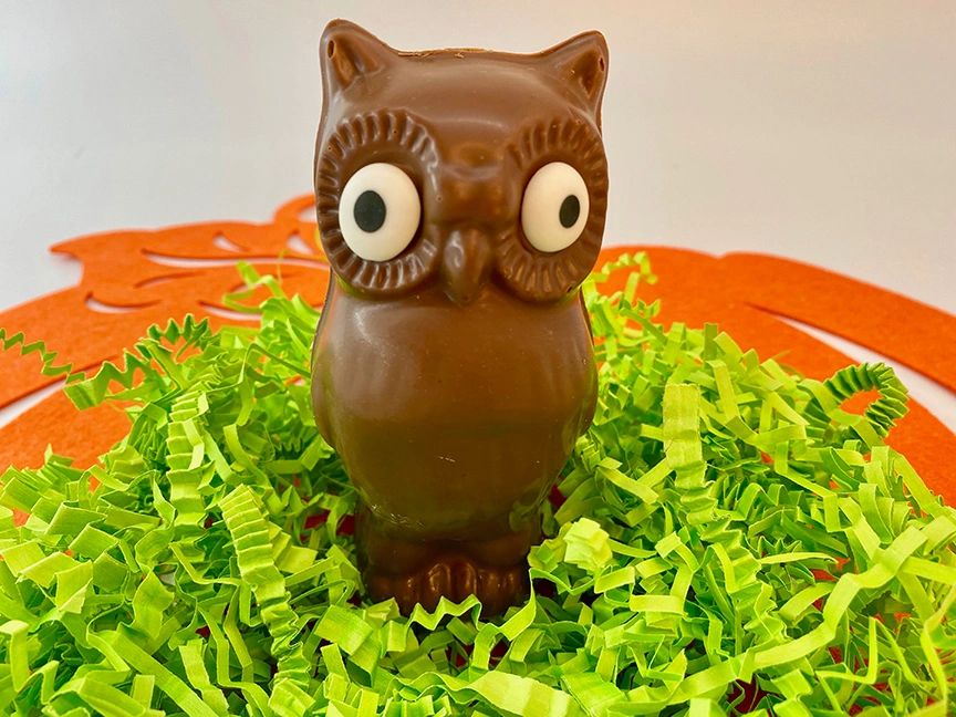 Chocolate Owl