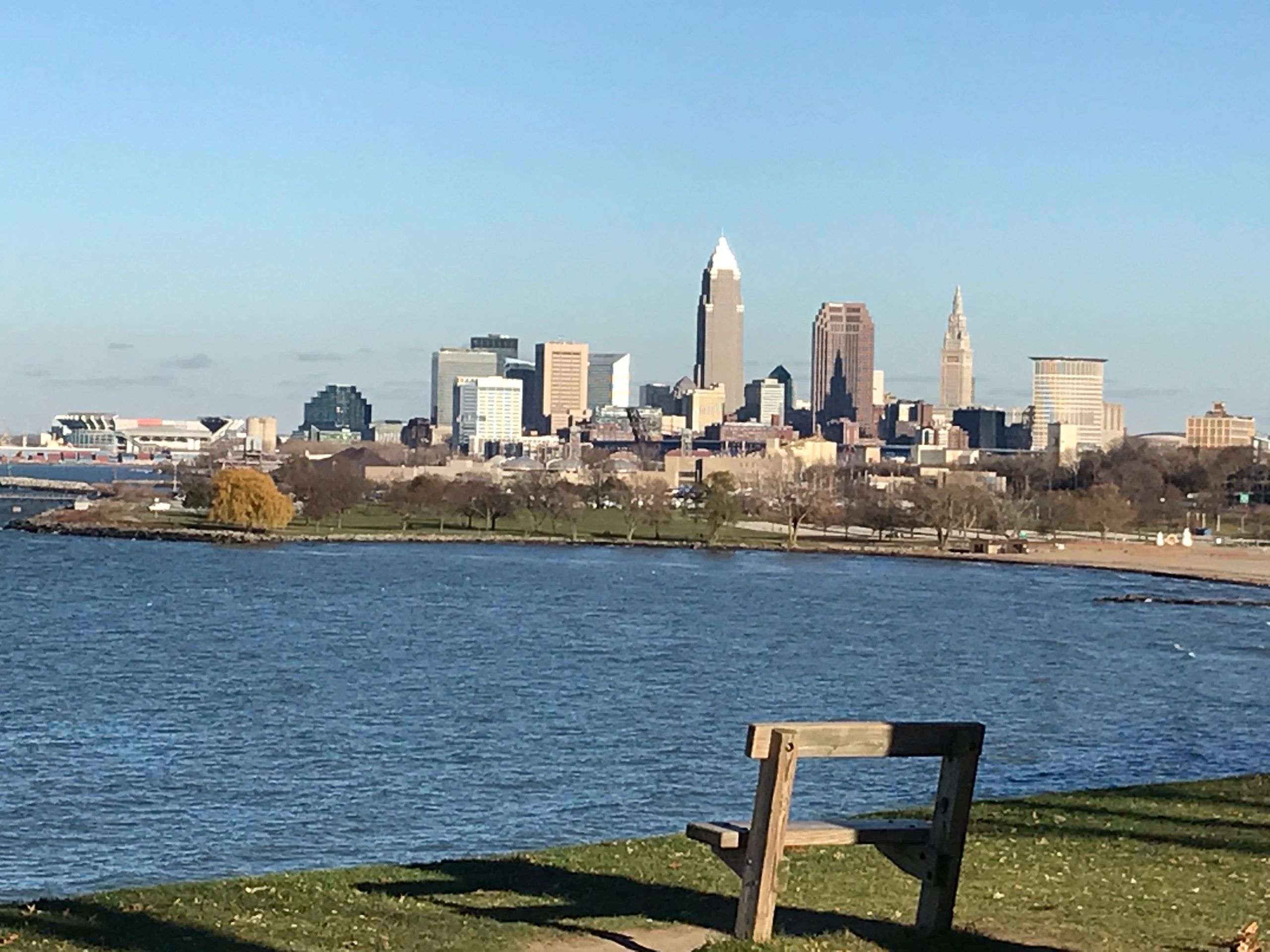 Orchid Society, Orchid - West Shore Orchid Society - Berea, Ohio