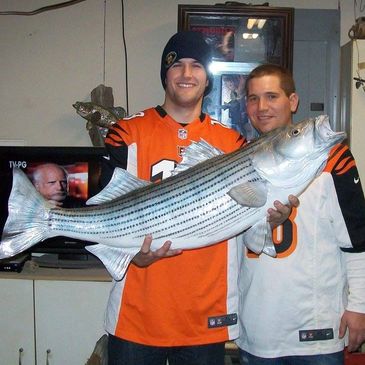 Fish mount for these two guys. 