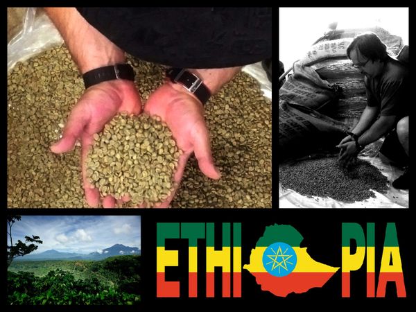 Ethiopian Yirgacheffe Micro-Lot Fair Trade / Organic Certified