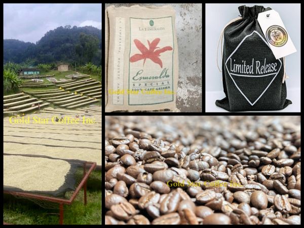 Panama Esmeralda Geisha - Exclusive 2023 Limited Auction Lot - 2 x 1/2 lb Bags