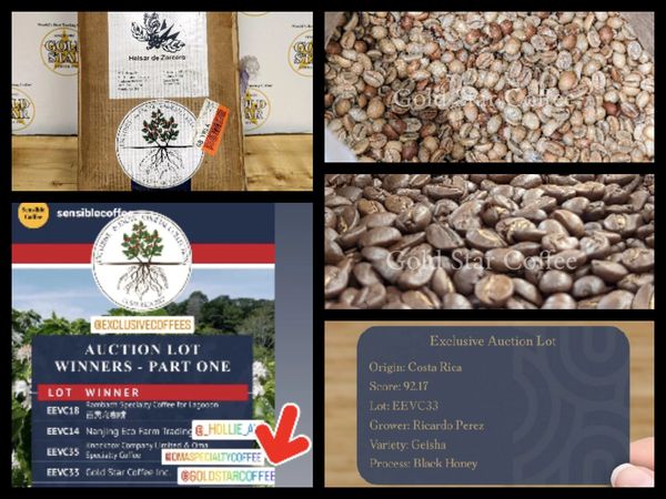 Costa Rica Black Honey Geisha - Exclusive Limited Auction Lot - 2 x 1/2 lb Bags