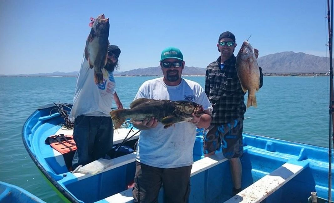 San Felipe Baja Fishing Convoys