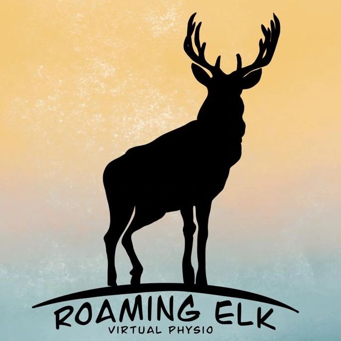 Roaming Elk Virtual Physio
Telehealth
Telerehabilitation