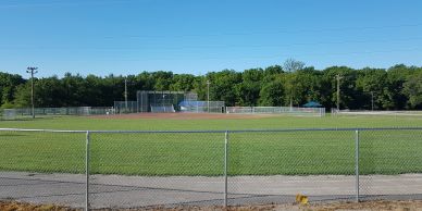 A sunny baseball field surrounded by trees and a chain-link fence.