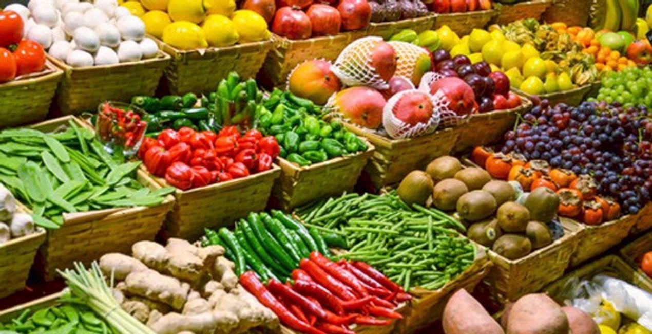 Physiotherapy in Dee Why Northern Beaches