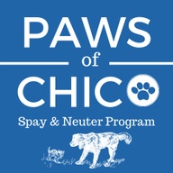 PAWS OF CHICO