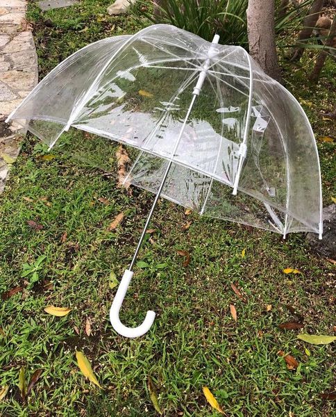 Large Clear Bubble Umbrella | Deep Dome rain accessory |Trim-Free canopy