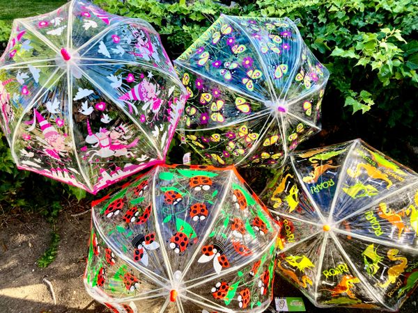 Bugzz® Buy Best PVC umbrellas for children | Set of 4 and save 15%