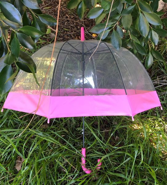 Everyday Dome shaped PVC umbrella | Clear canopy with pink trim