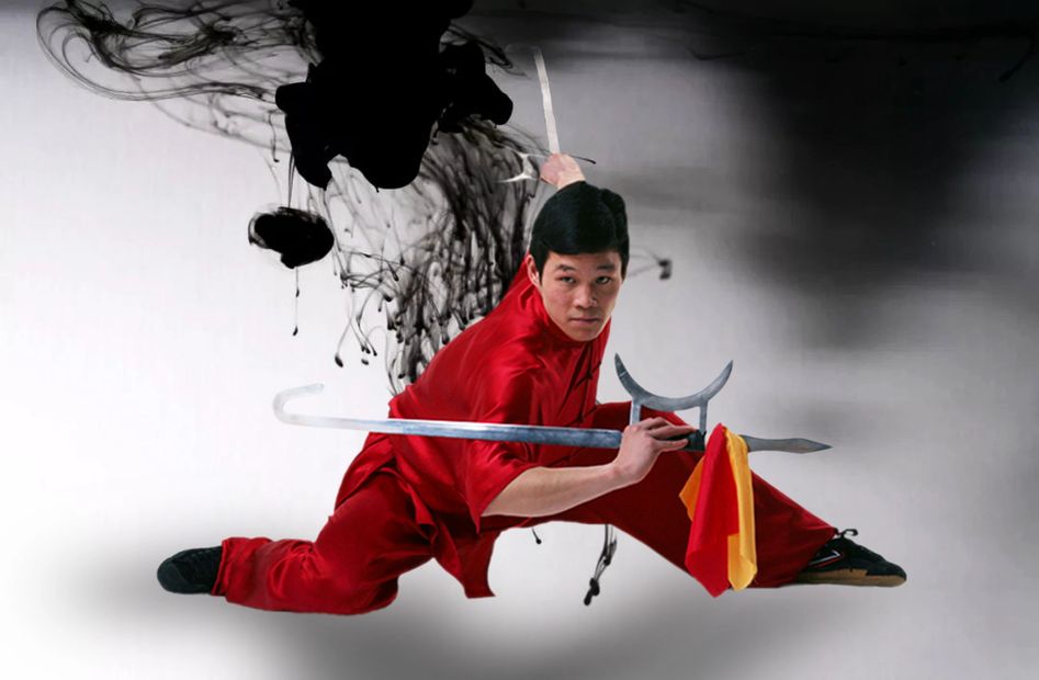 Soaring Eagle Kung Fu Martial Arts School Palatine, Illinois